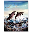 Double Dolphins - Metal Print